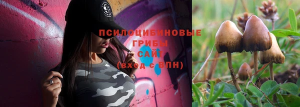 PSILOCYBIN Краснотурьинск
