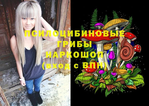 PSILOCYBIN Краснотурьинск