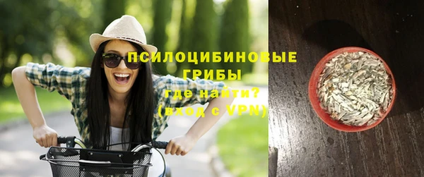 PSILOCYBIN Краснотурьинск